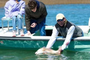 marina yacht fishing